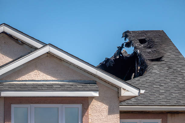 Top rated local Firefighting Water Removal specialists in Monrovia, MD